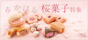 sakura_banner